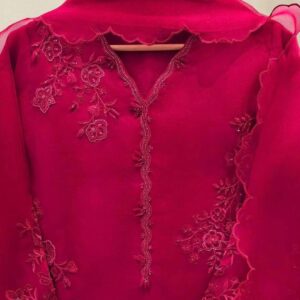 Aghanoor-Inspired Embroidery Collection - Premium Handcrafted Designs