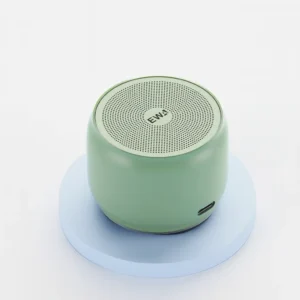 Bluetooth 5.0 Portable Mini Speaker in Green - Compact & Premium Sound