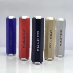 Bluetooth FM Radio Speaker - KOLEER S218 Portable Wireless Sound System