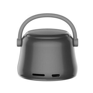 Bluetooth Mini Bass Radiator Speaker in Grey – Premium Metal Design