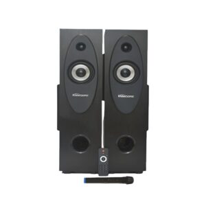Bluetooth Speaker with Wireless Microphone - Kamasonic T30X Portable Sound System