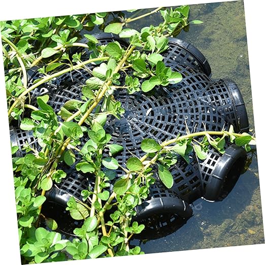 Durable 6-Hole Fishing Trap for Effective Catching and Easy Use % Durable 6-Hole Fishing Trap for Effective Catching and Easy Use