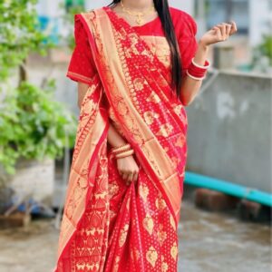 Elegant Katan Silk Saree - Luxurious Soft Texture for Timeless Style