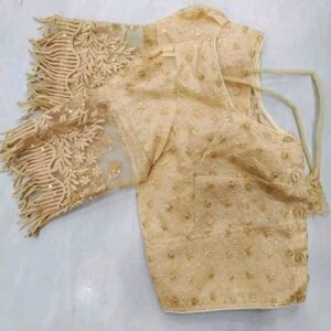 Elegant Pani Patti Blouse – Premium Indian Ethnic Wear for Special Occasions