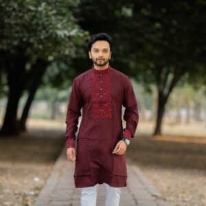 Elegant Premium Panjabi for Men | Traditional Ethnic Wear