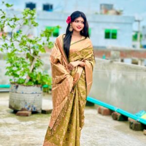 Elegant Soft Silk Katan Saree - Luxurious Traditional Indian Attire