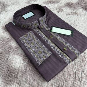 Embroidered Panjabi - Elegant Traditional Attire for Men
