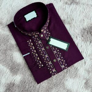 Embroidered Sequence Panjabi - Elegant Traditional Wear for Men