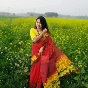 Handcrafted Half Silk Saree with Artistic Printed Wool Detailing