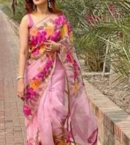 Handcrafted Half-Silk Saree with Artistic Printed Wool Work - Elegant Style
