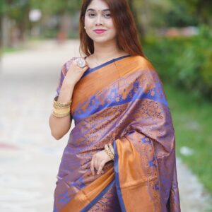 Kanjivaram Katan Silk Saree - Elegant Traditional Indian Attire