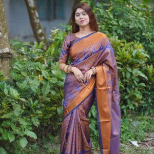 Luxurious Kanjivaram Katan Saree - Elegant Traditional Indian Wear