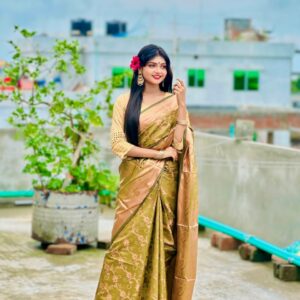 Luxurious Silk Katan Saree – Elegant and Soft Indian Ethnic Wear