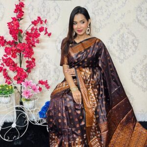 Luxurious Soft Silk Katan Saree - Elegant Traditional Attire for Special Occasions