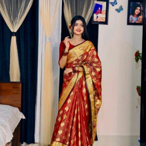 Luxurious Soft Silk Katan Saree - Elegant Traditional Indian Attire