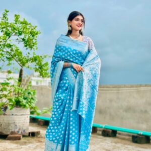 Luxurious Soft Silk Katan Saree for Elegant Occasions