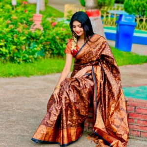 Luxurious Soft Silk Katan Saree for Elegant Occasions