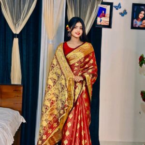 Luxurious Soft Silk Katan Saree for Elegant Occasions