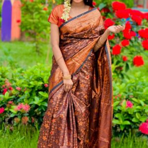 Luxurious Soft Silk Katan Saree for Elegant Occasions