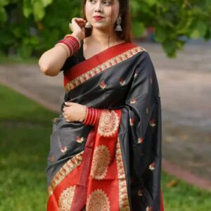 Luxurious Soft Silk Katan Saree in Elegant Designs for Timeless Style
