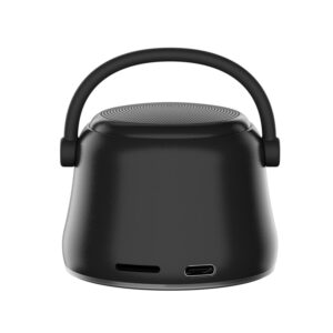 Mini Bluetooth Metal Speaker with Enhanced Bass – EWA A20 Black