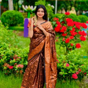 Silk Katan Saree - Luxurious Soft Fabric for Elegant Occasions