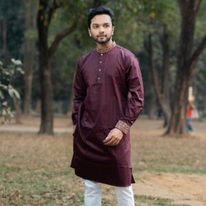 Traditional Punjabi Kurta - Elegant Cotton Attire for Men
